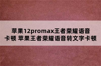 苹果12promax王者荣耀语音卡顿 苹果王者荣耀语音转文字卡顿